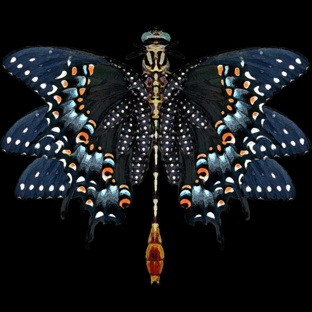 a combination butterfly/dragonfly. beautifully displayed as specimen on a black backdrop.