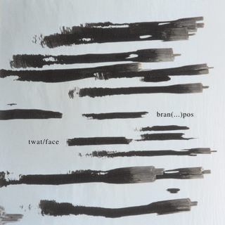 dark streaks on a murky grey void